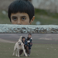 "Sivas" filmi Oscar'a aday