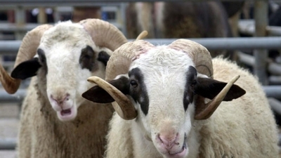 Bayramda bunlara dikkat!