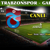 Aslan kendine geldi!