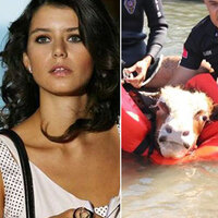 Bu filmin adı Türkiye!