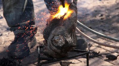 Bayramda o işten 10 bin TL kazanıyorlar