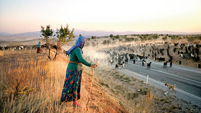 Sarıkeçili yörükler için dağlardan sahillere göç vakti