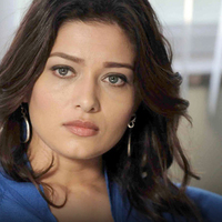 Uçakta fındık kavgası