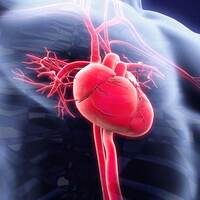 Stent tedavisi yaşam kalitesini artırıyor!