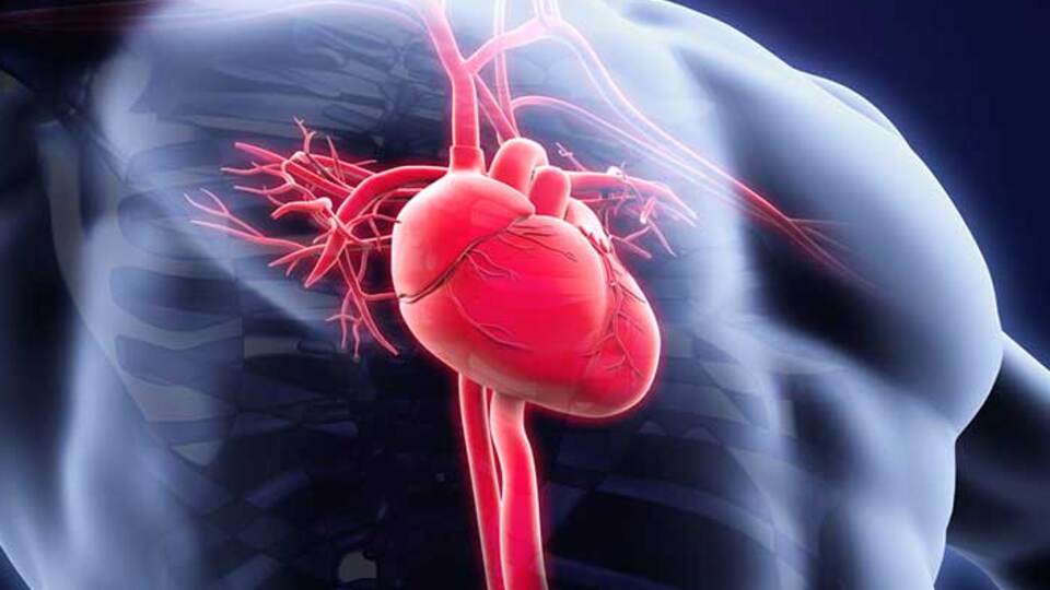 Stent tedavisi yaşam kalitesini artırıyor!