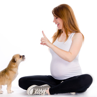 Kedim, köpeğim, hamileyim... Peki, ya bebeğim?