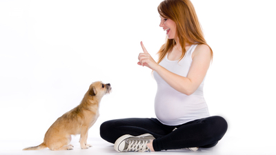 Kedim, köpeğim, hamileyim... Peki, ya bebeğim?