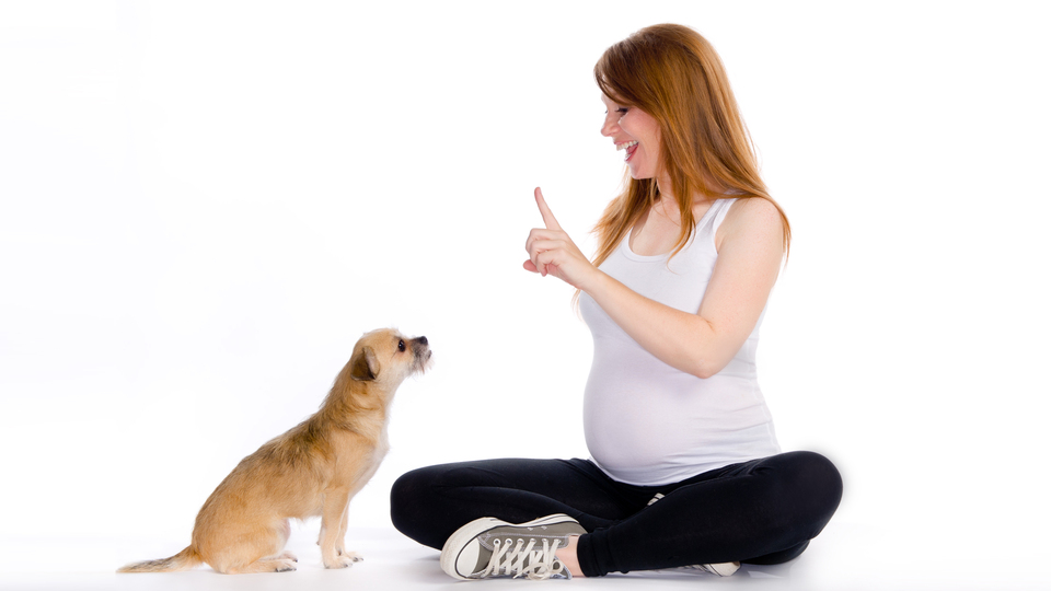 Kedim, köpeğim, hamileyim... Peki, ya bebeğim?