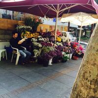 'Önce adalet' isteği tazminatın önüne geçti