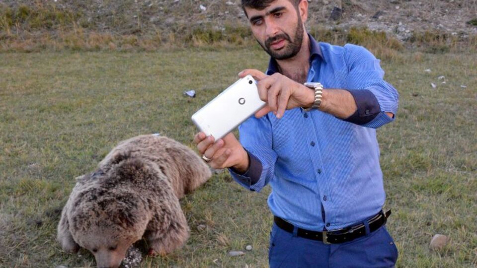 Karayolu kenarında bulundu! Önce korktular, sonra selfie çektiler