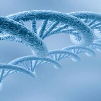 Sigara DNA yapısını bozuyor!