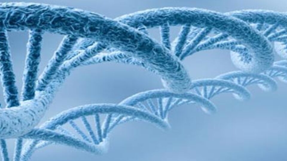 Sigara DNA yapısını bozuyor!