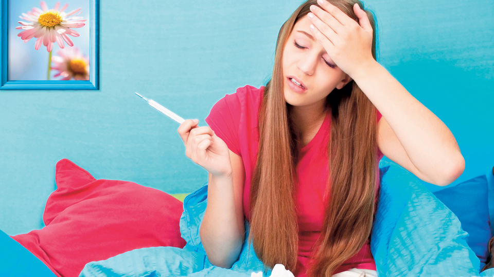 Gribe karşı narlı karışım