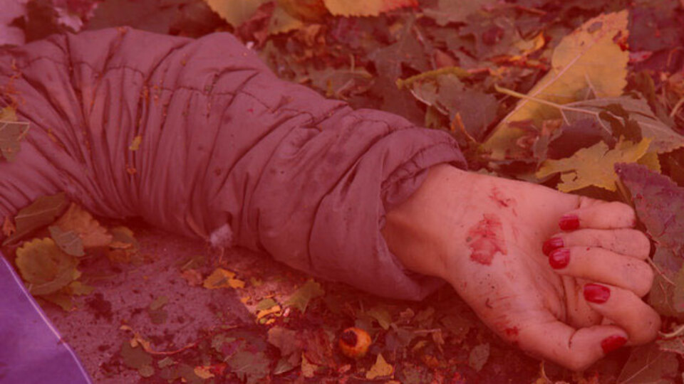 İki hafta önceki istihbarat: Biri kadın biri erkek iki canlı bomba geldi