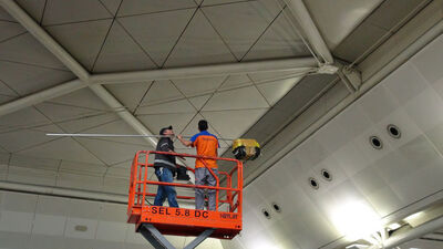 Havalimanında kaçak papağan operasyonu!