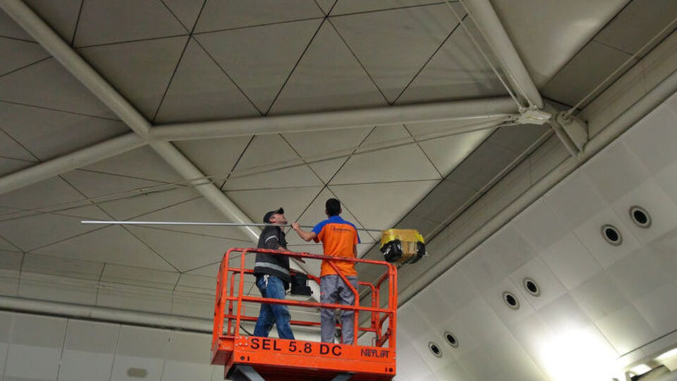 Havalimanında kaçak papağan operasyonu!