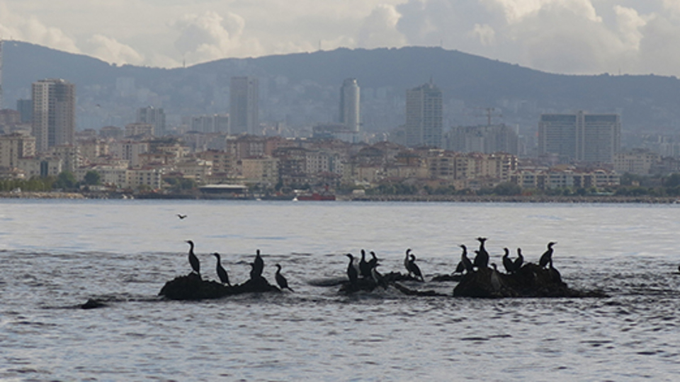 İstanbul'un kayıp adası gün yüzüne çıkarılacak