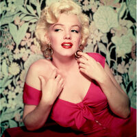 Monroe'yu kurtarmak için evlenme teklifi