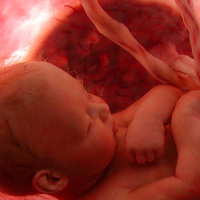 Anne karnındaki bebek en çok bu sesten etkileniyor!