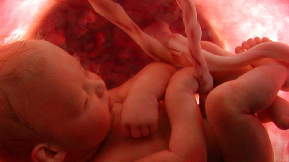 Anne karnındaki bebek en çok bu sesten etkileniyor!