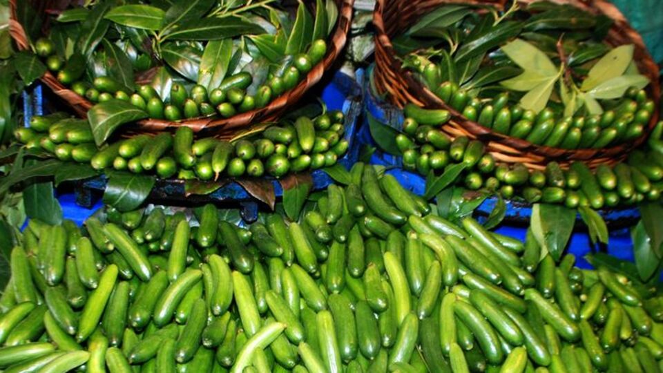 Çengelköy bademi tarih oldu!