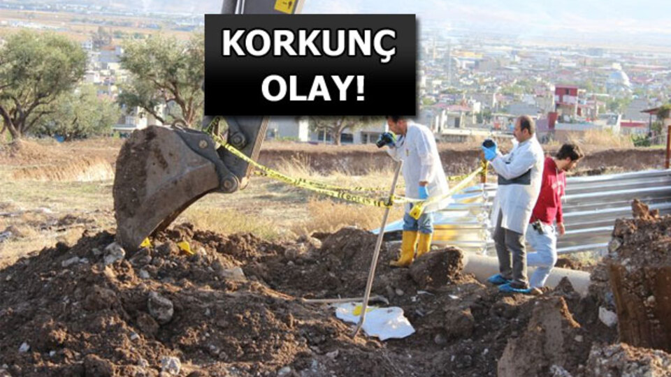 Kurtarmak isterken başını parçaladı!