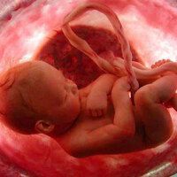 Bebeğin anne karnındaki gelişim süreçleri