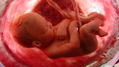 Bebeğin anne karnındaki gelişim süreçleri