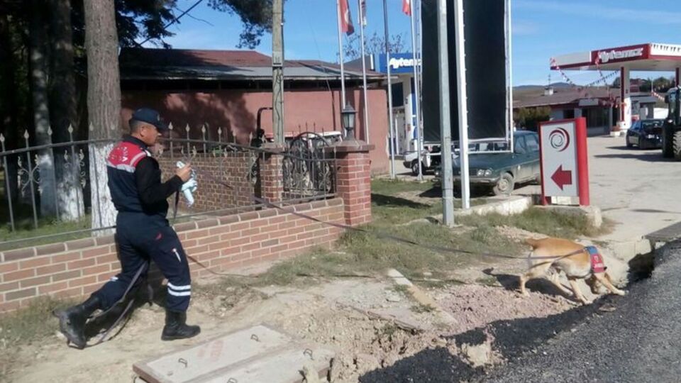 Kaybolan adam ağaca asılı halde bulundu!
