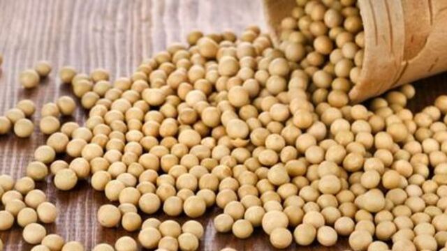 Soya fasulyesi o hastalıktan koruyor!