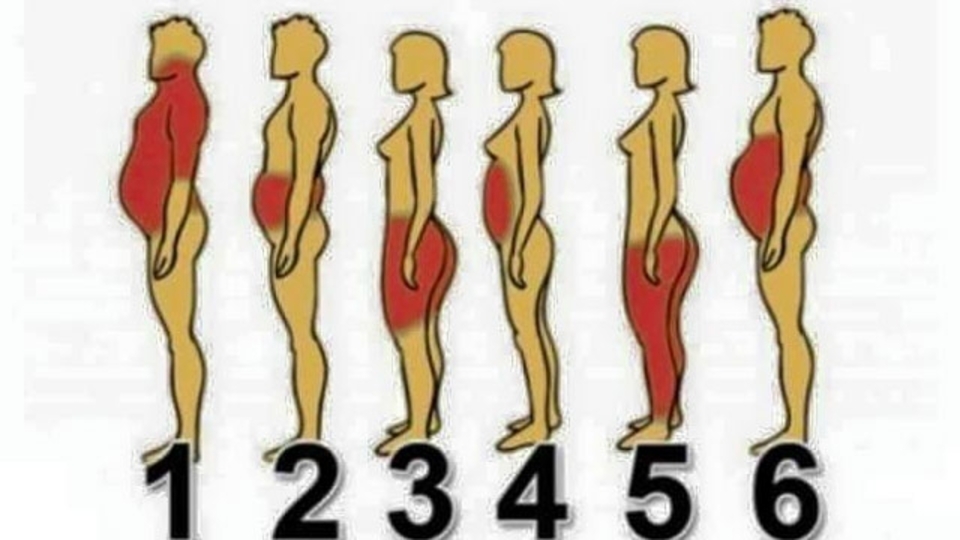 Şişmanlama nedeninizi biliyor musunuz?