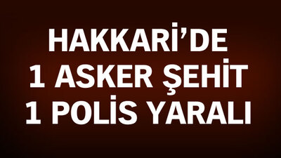 Ankara'ya şehit ateşi düştü