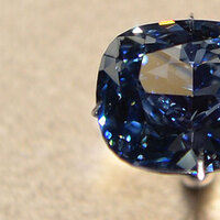 'Mavi Ay Elması' rekor fiyata satıldı!