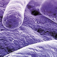 Yeni bir cinsel hastalık yayılıyor!