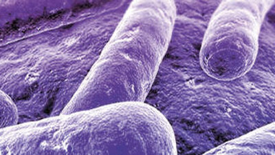 Yeni bir cinsel hastalık yayılıyor!