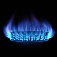 Enerji Bakanı'ndan doğalgazda indirim açıklaması