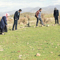 Sarıçiçek Köyü'nün meteor cirosu 1 milyon lirayı geçti!