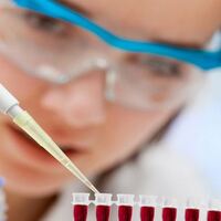 Kök hücre nakli bazı hastalıklar için ilk seçenek!