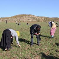 Bingöllü göktaşı avcılarına ‘vergi’ uyarısı