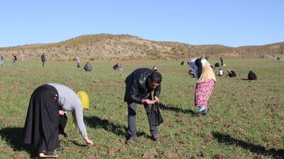Bingöllü göktaşı avcılarına 'vergi' uyarısı