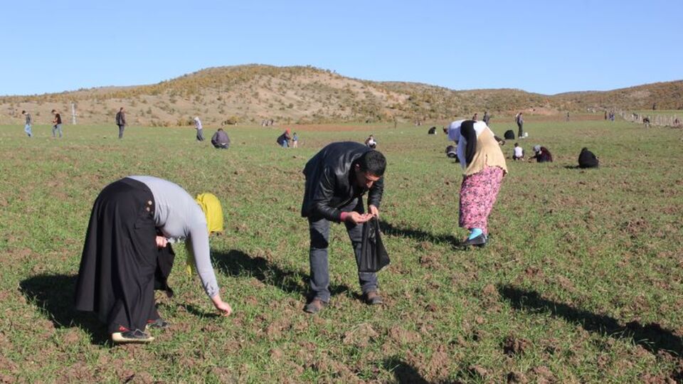 Bingöllü göktaşı avcılarına 'vergi' uyarısı
