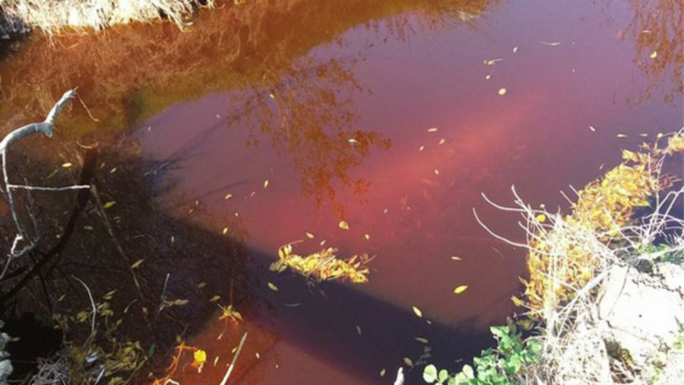 Dere kızıla büründü!