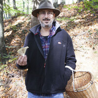 Tüm mantarlar yenir, ama bazıları son yemeğiniz olur!