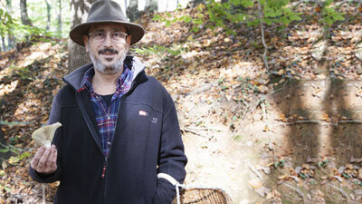 Tüm mantarlar yenir, ama bazıları son yemeğiniz olur!