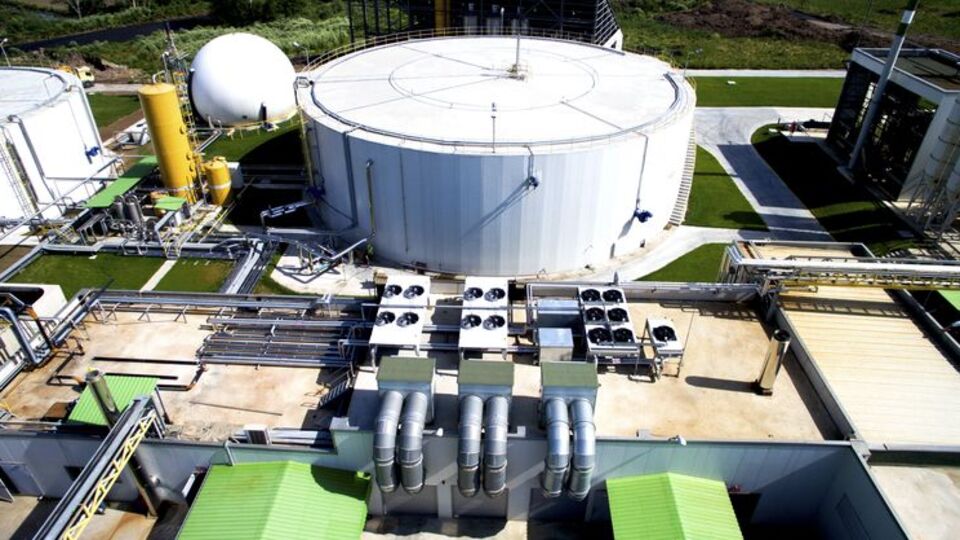 Hayvansal atıktan petrol üretecekler