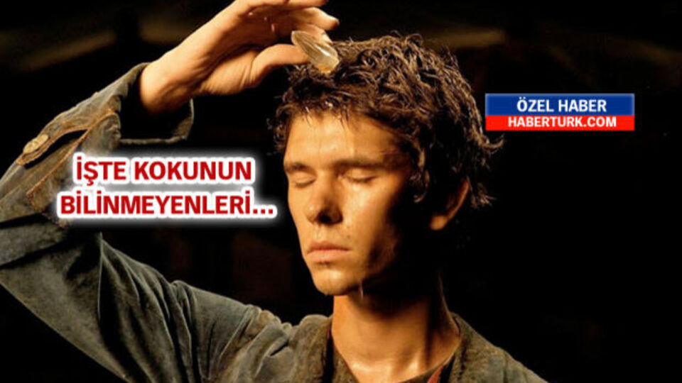 Koku beynin gizemli dünyasını nasıl etkiliyor?