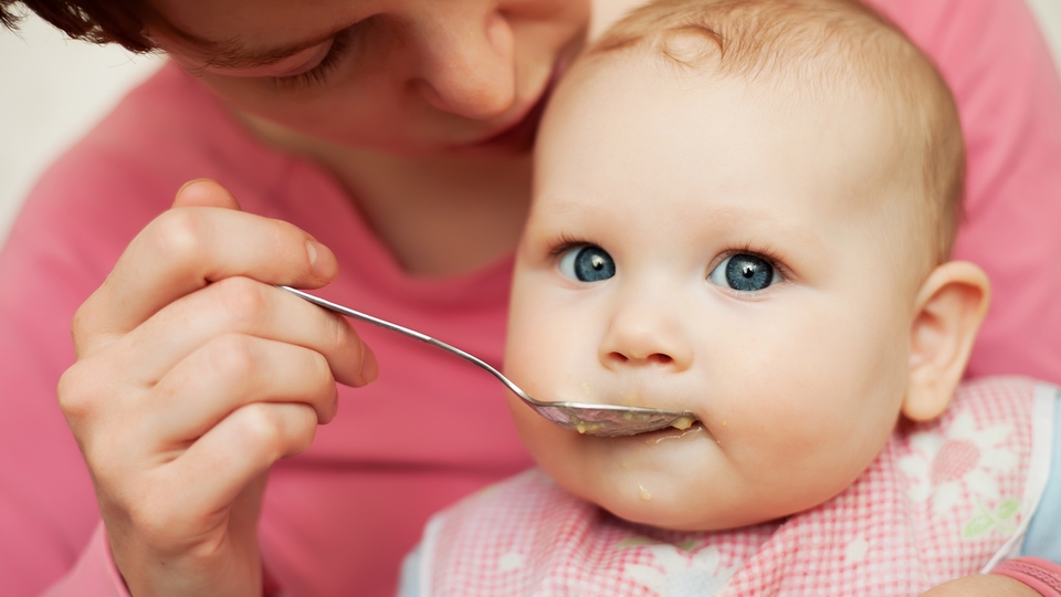 Bebekler aslında ne yemeli?