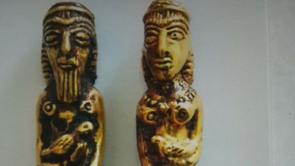 Iğdır'da tarihi eser operasyonu