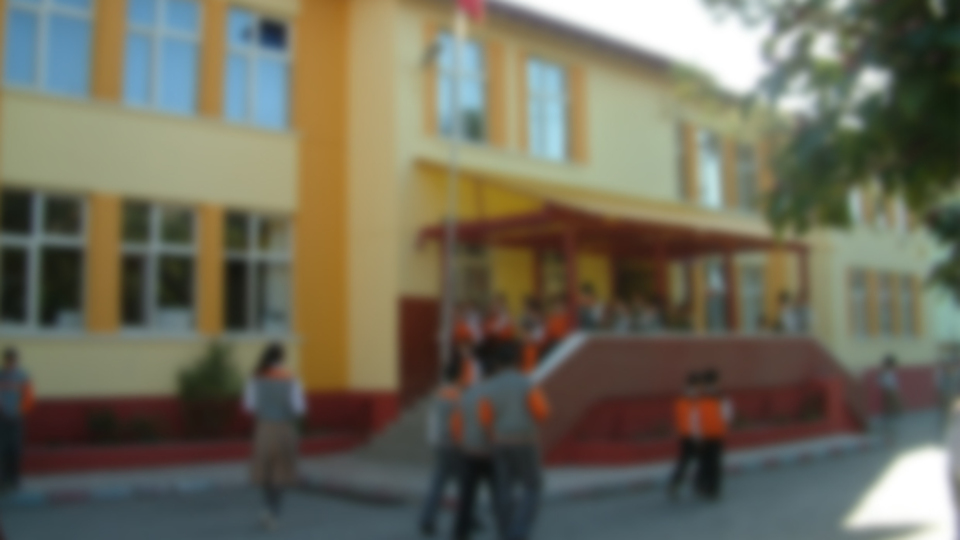 Öğrencisine 'Gerizekâlı' dedi, mahkeme cezayı kesti!