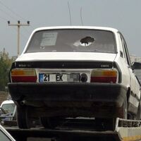 Beyaz Toros'lu hainler mi?